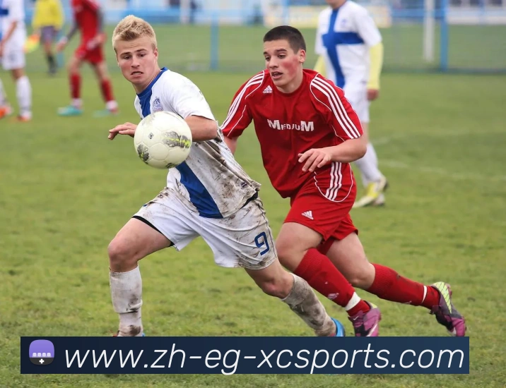 杏彩体育APP 体育赛事宣传图